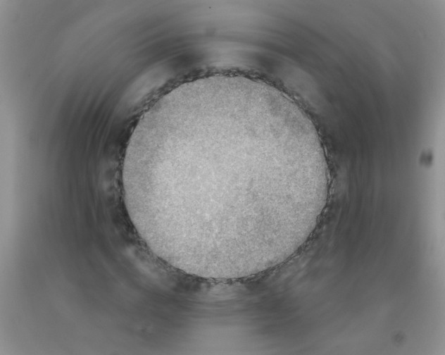 X0000091350824200709071237