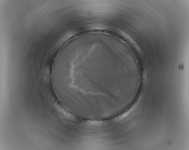 X0000091350825200709071237