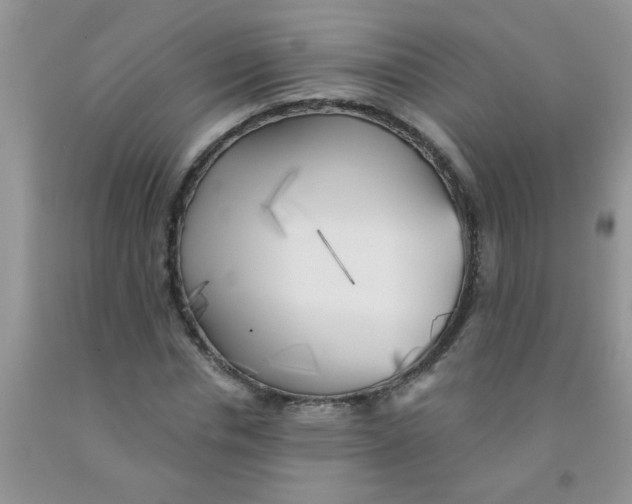 X0000091350826200709071237