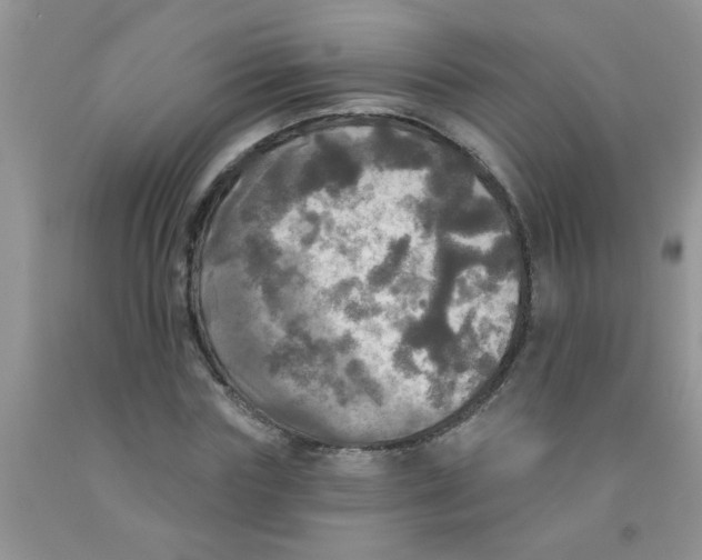 X0000091350827200709071237