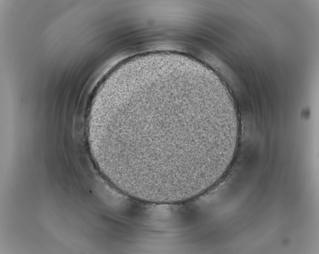 X0000091350828200709071237
