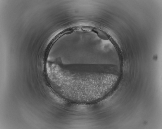 X0000091350829200709071237