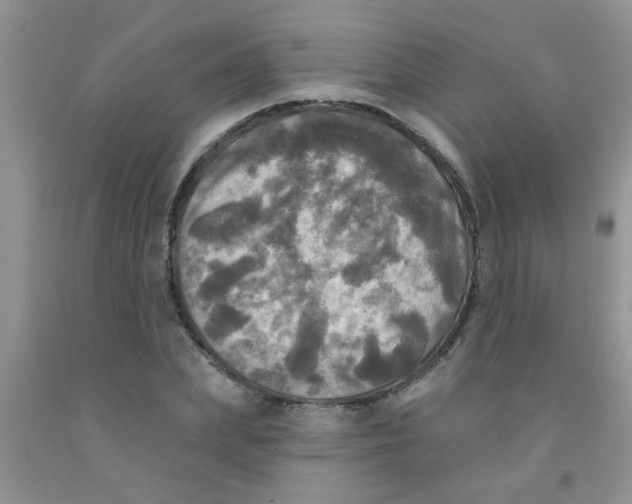 X0000091350831200709071237