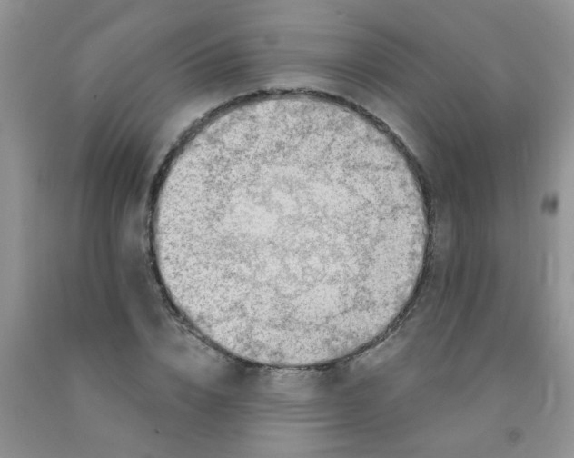 X0000091350832200709071237