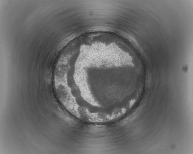 X0000091350833200709071237