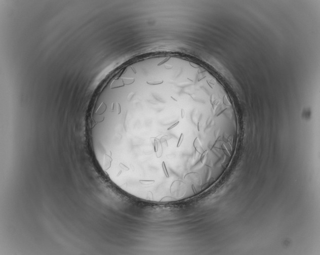 X0000091350834200709071237
