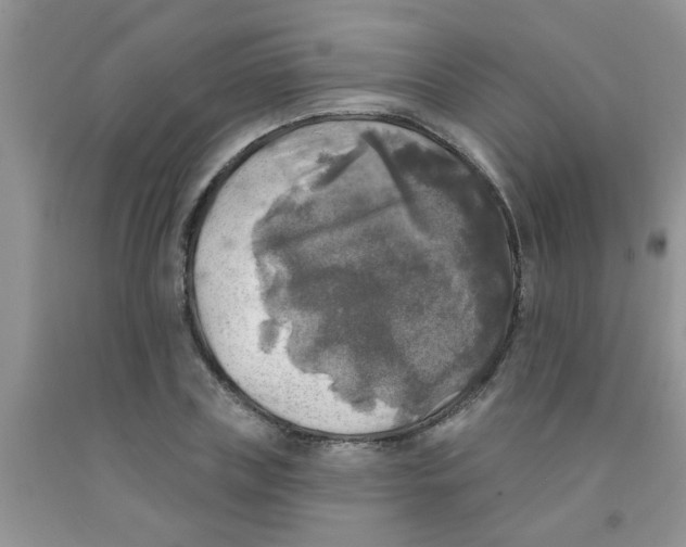 X0000091350835200709071237