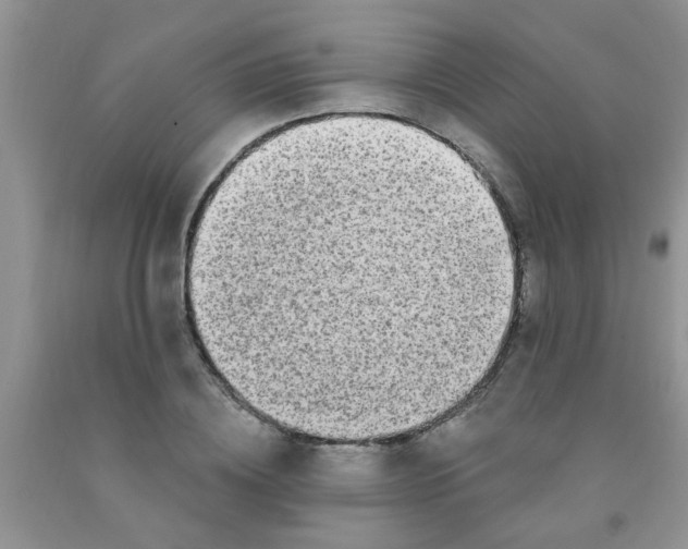 X0000091350836200709071237