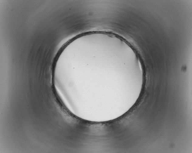 X0000091350838200709071237