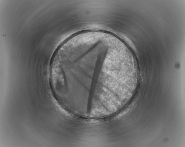 X0000091350839200709071237