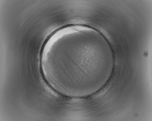 X0000091350840200709071237