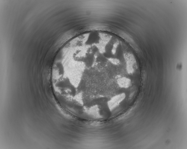 X0000091350841200709071237