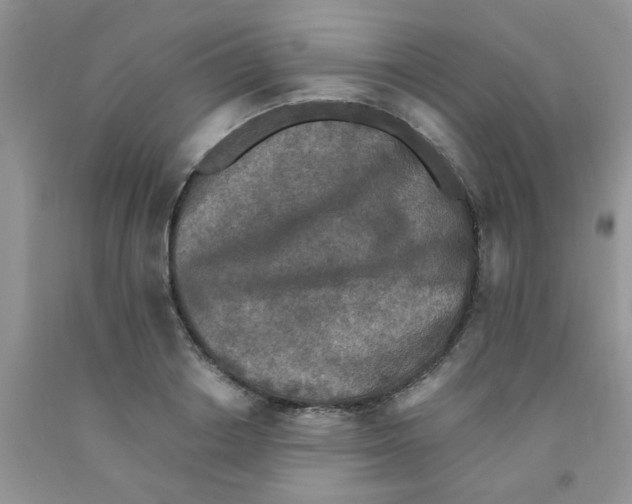 X0000091350842200709071237