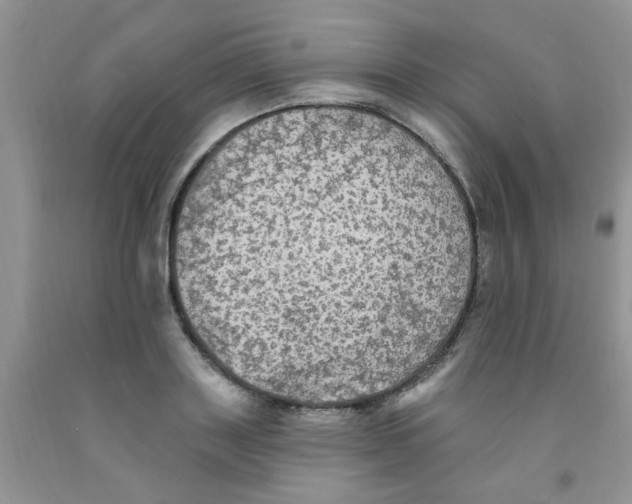 X0000091350843200709071237