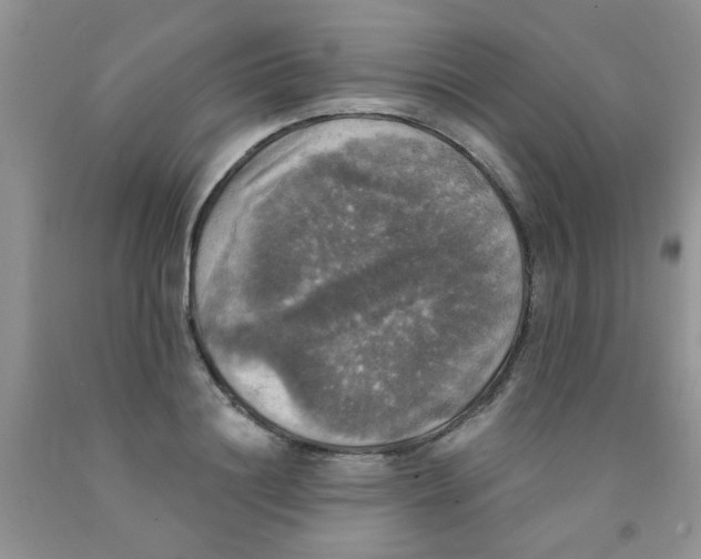 X0000091350844200709071237