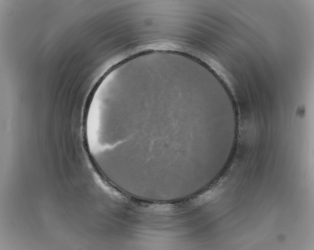 X0000091350845200709071237
