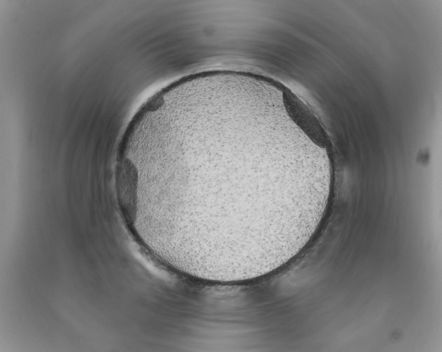 X0000091350846200709071237