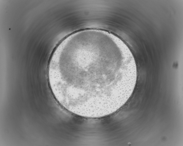 X0000091350848200709071237