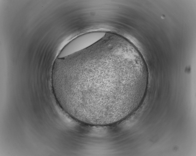 X0000091350850200709071237