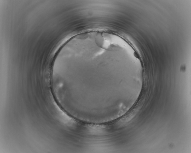 X0000091350851200709071237