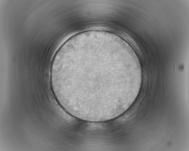 X0000091350852200709071237