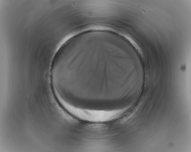 X0000091350853200709071237