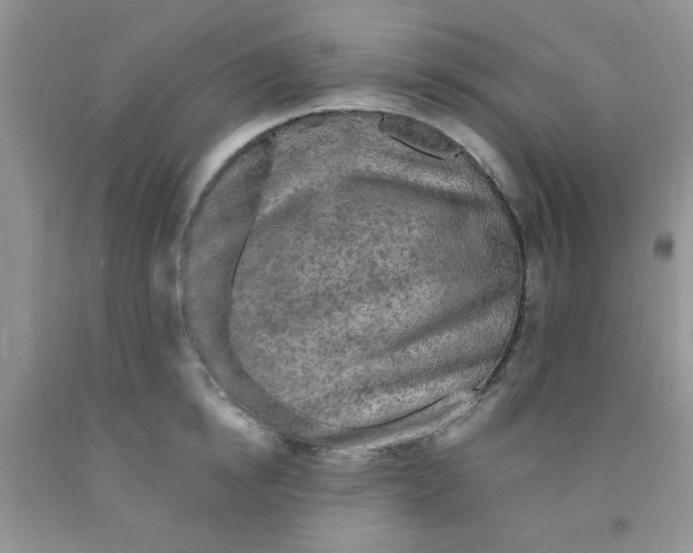 X0000091350854200709071237
