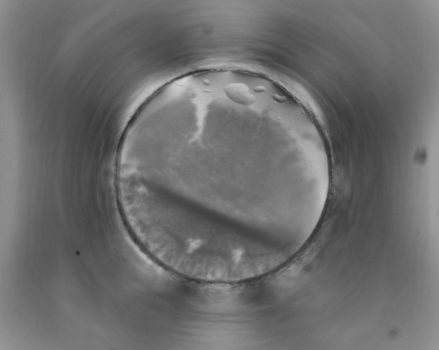 X0000091350855200709071237