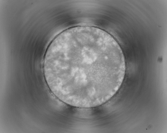 X0000091350856200709071237
