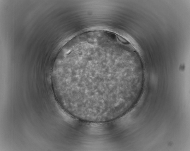 X0000091350857200709071237