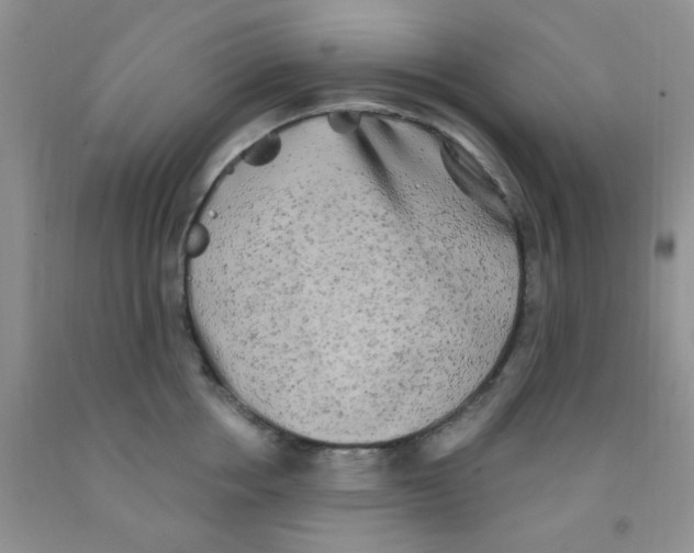 X0000091350858200709071237