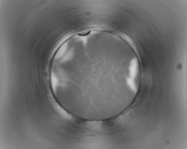 X0000091350859200709071237