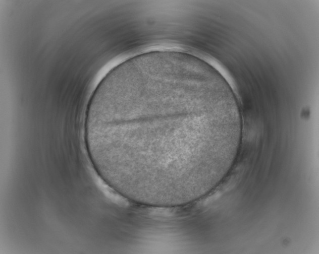 X0000091350861200709071237