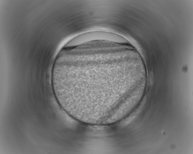 X0000091350862200709071237