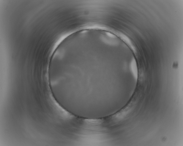 X0000091350863200709071237