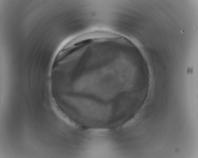 X0000091350864200709071237