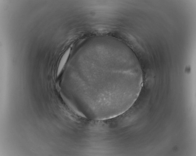 X0000091350866200709071237