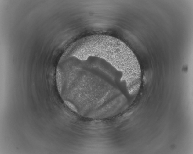 X0000091350867200709071237
