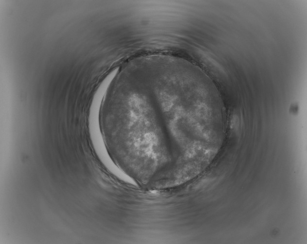 X0000091350868200709071237