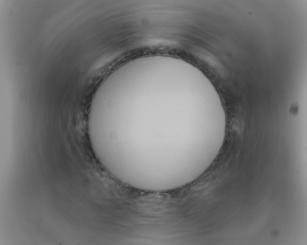X0000091350869200709071236
