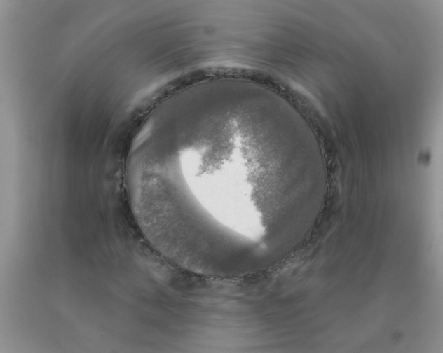 X0000091350870200709071236