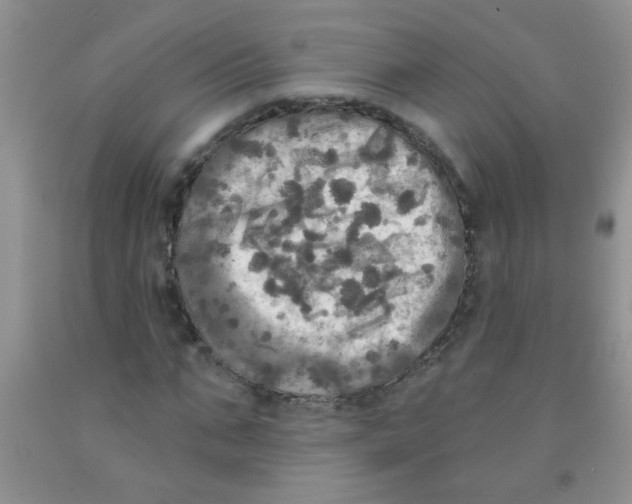 X0000091350871200709071236