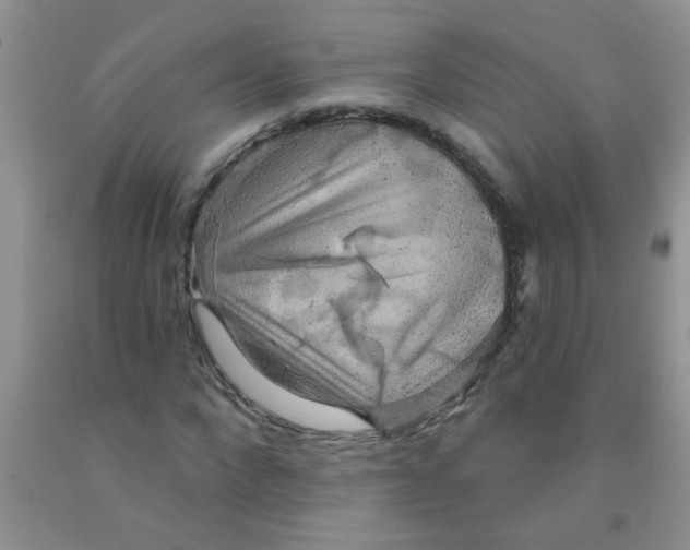 X0000091350872200709071236