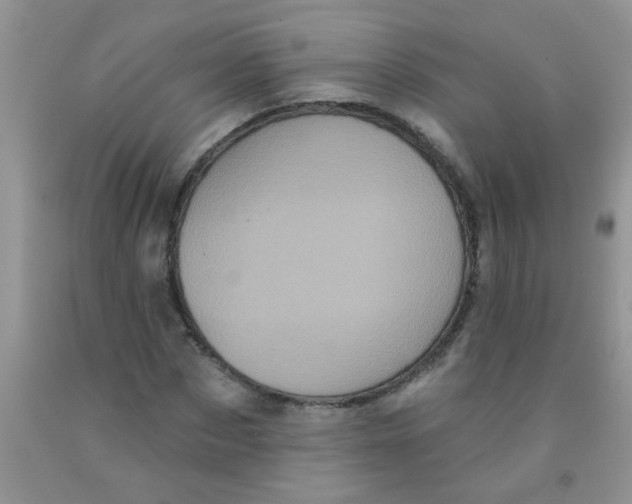 X0000091350873200709071236