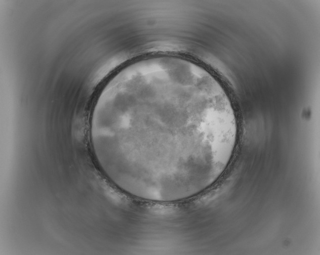 X0000091350874200709071236