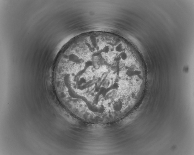 X0000091350875200709071236