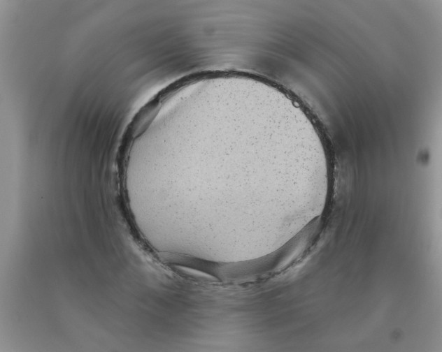 X0000091350876200709071236