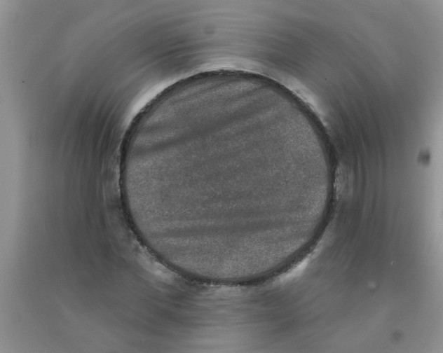 X0000091350877200709071236