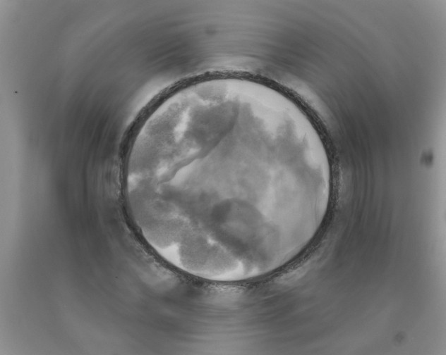 X0000091350878200709071236