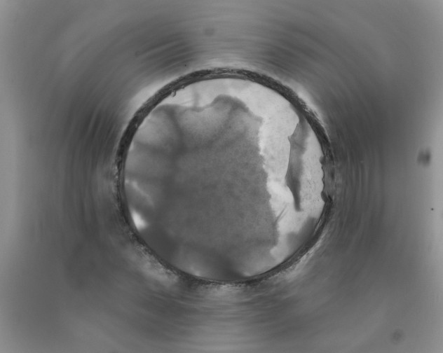 X0000091350879200709071236